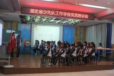 湖北省少先队工作学会交流培训会在汉举行
